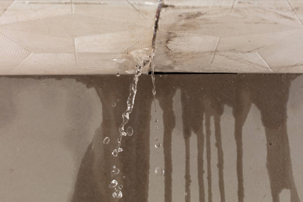 Professional Flood Damage Cleanup technician working in Sumas, WA